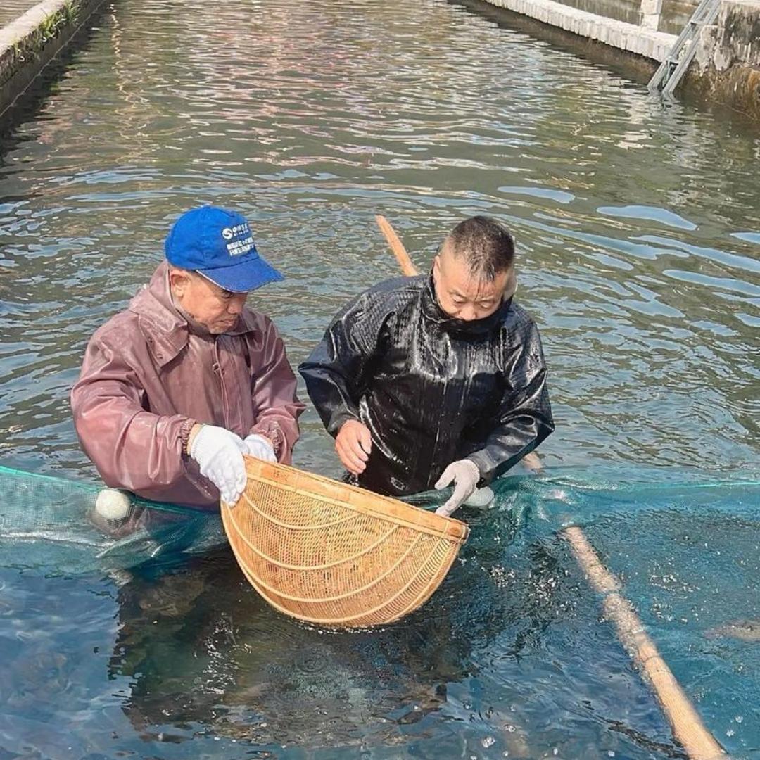 义乌雷逵电子商务商行小店