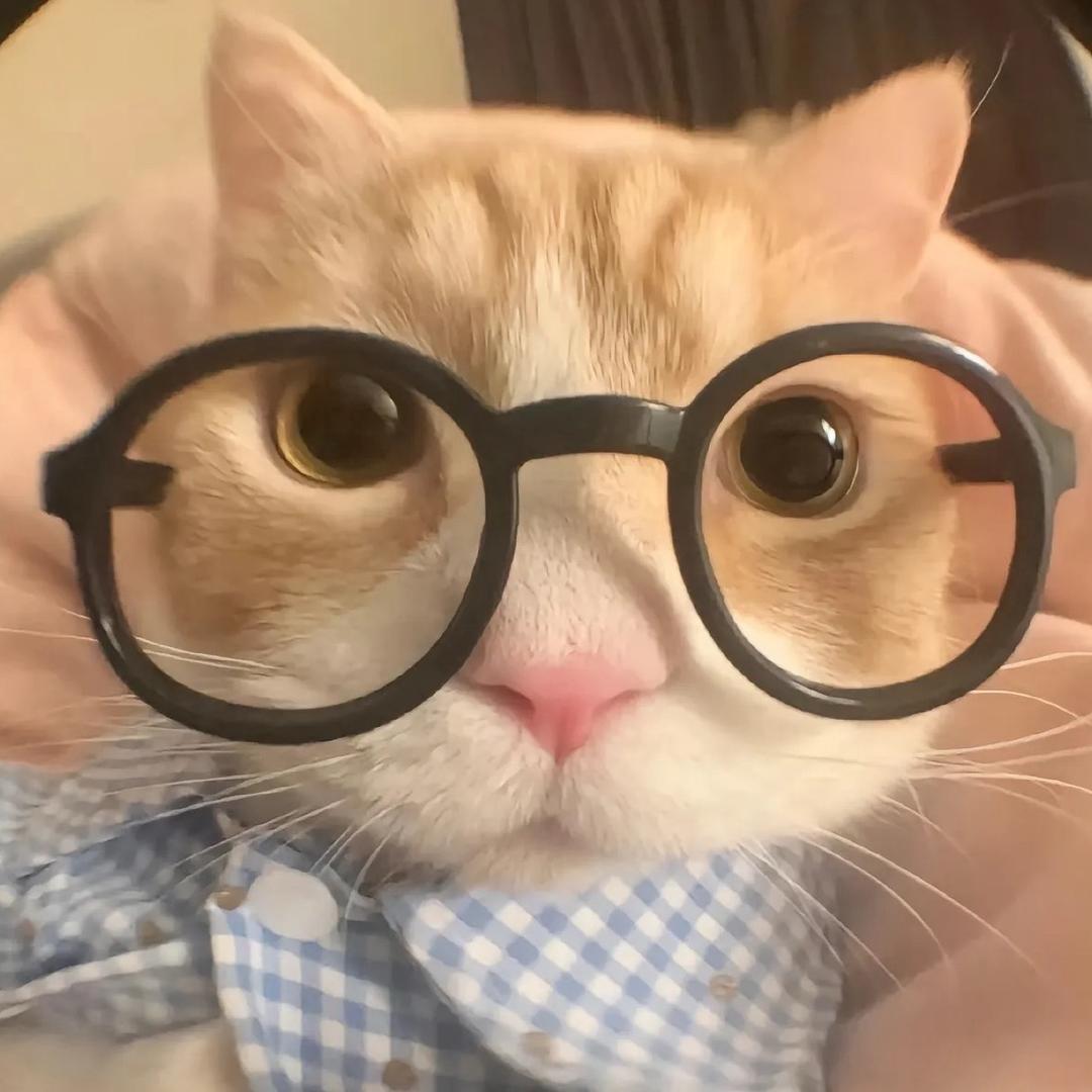 小萤