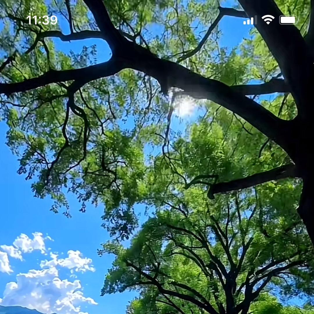 16重庆峥北裕建材优品小铺