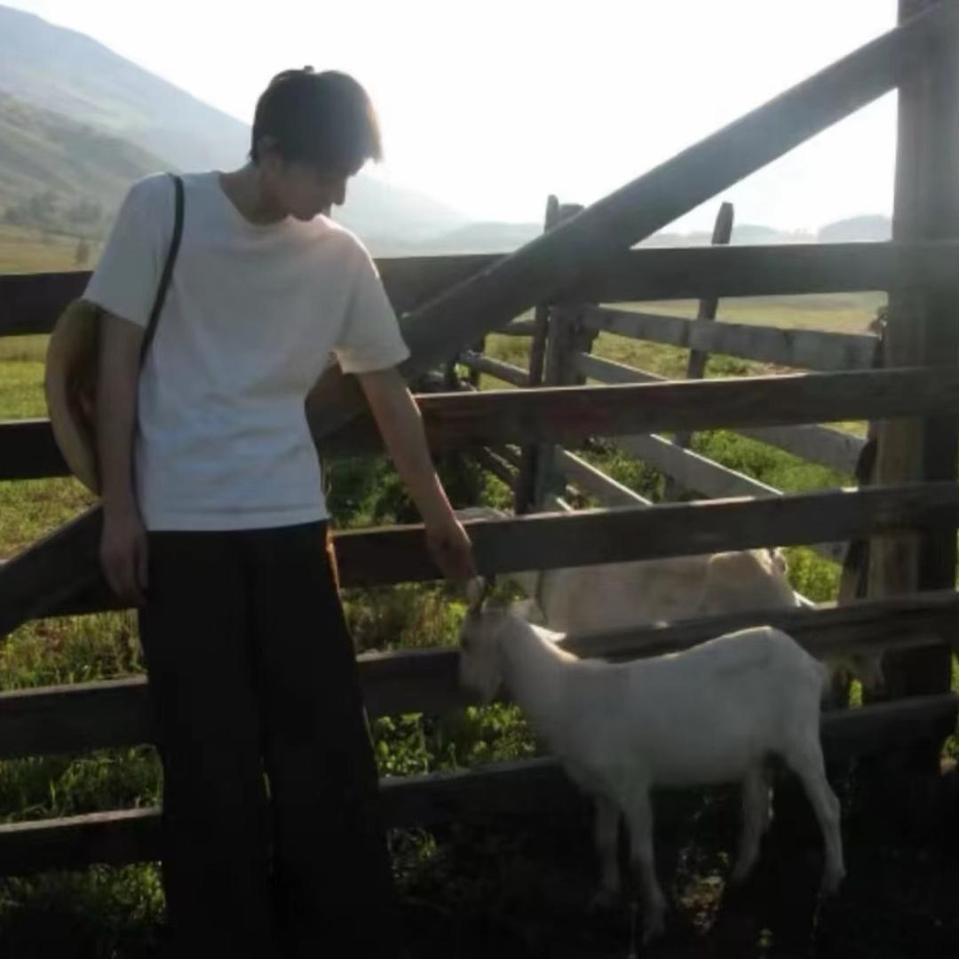 问鼎台球器材 轩