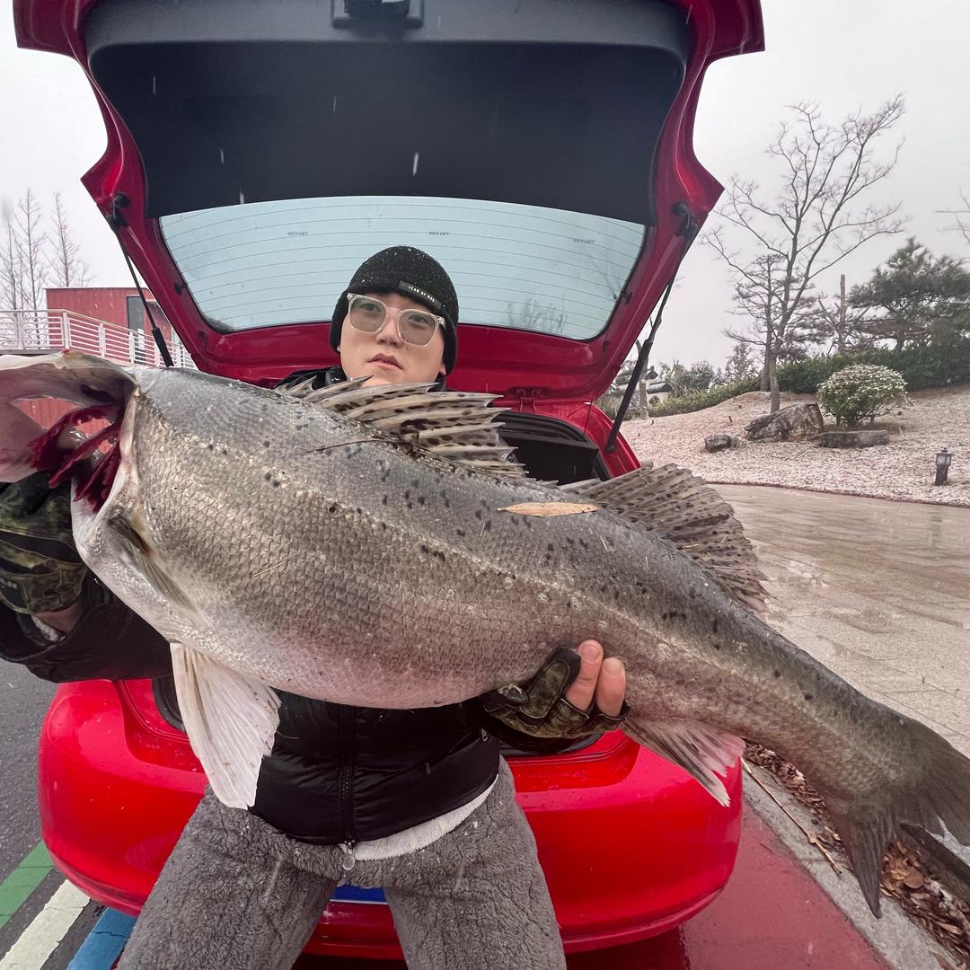小张阿—精品红膏大闸蟹 野生甲鱼