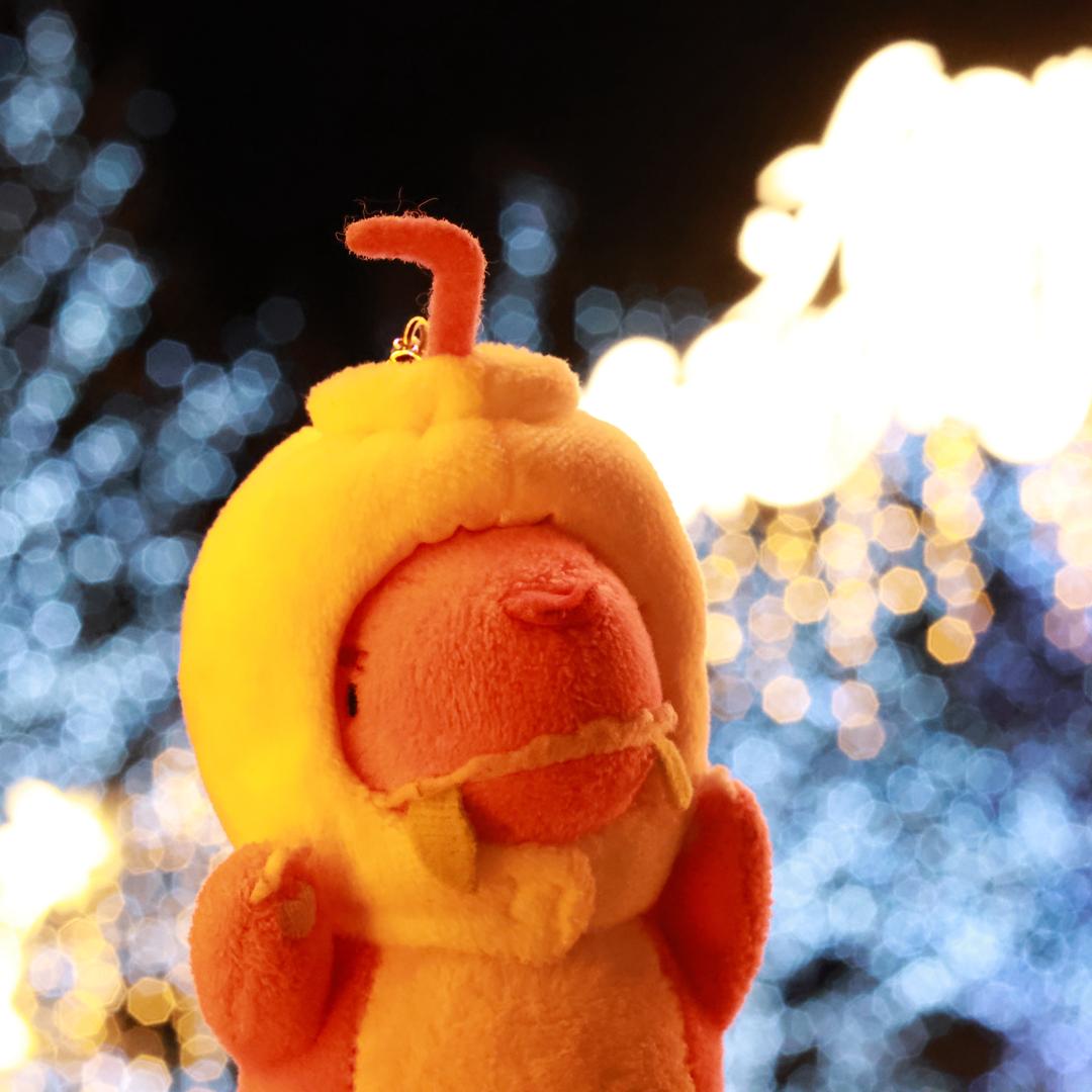 是丸子呀yuan