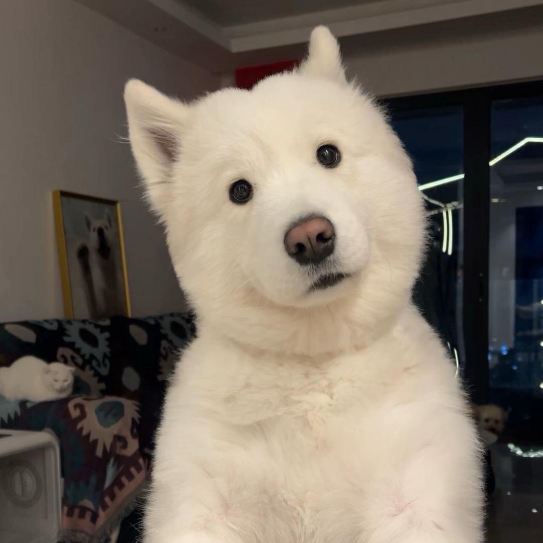 小高．