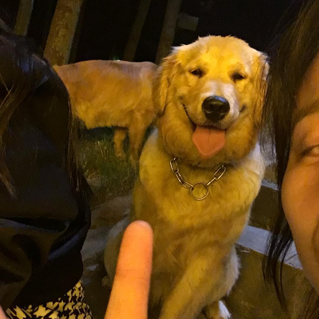 不高兴和没头脑