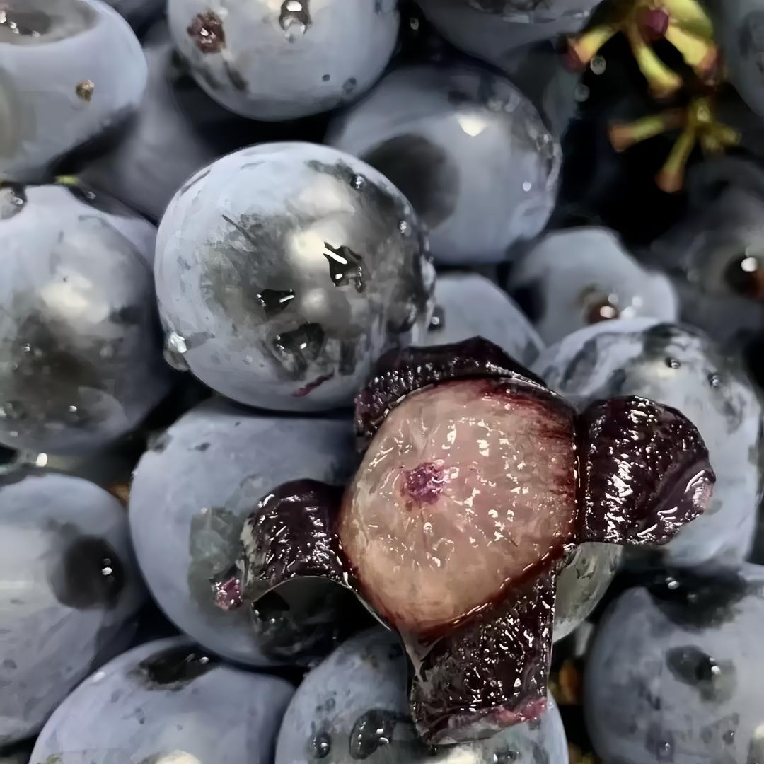 山西晋香遇产地诚信果品