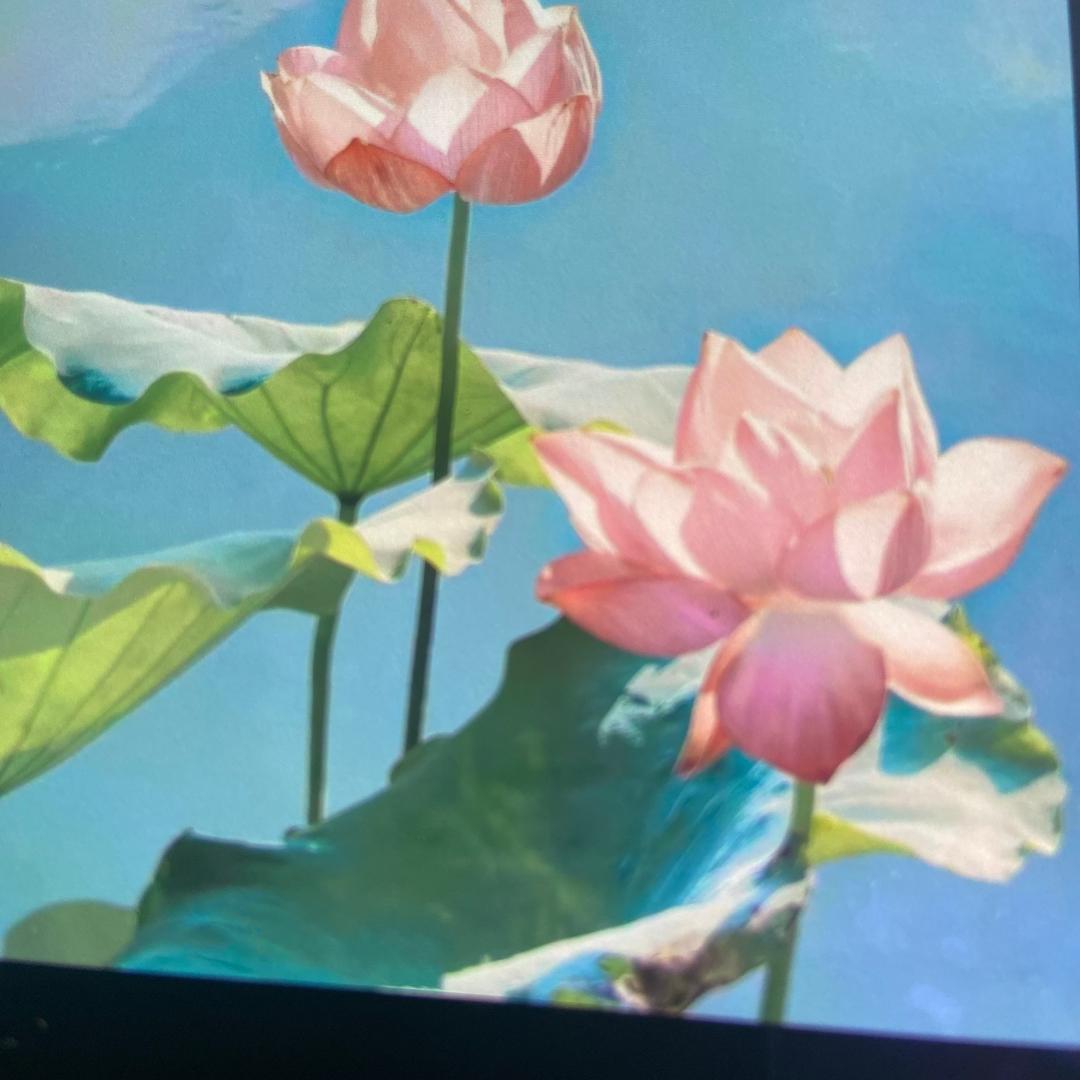 生意兴隆财源滚滚大富大贵