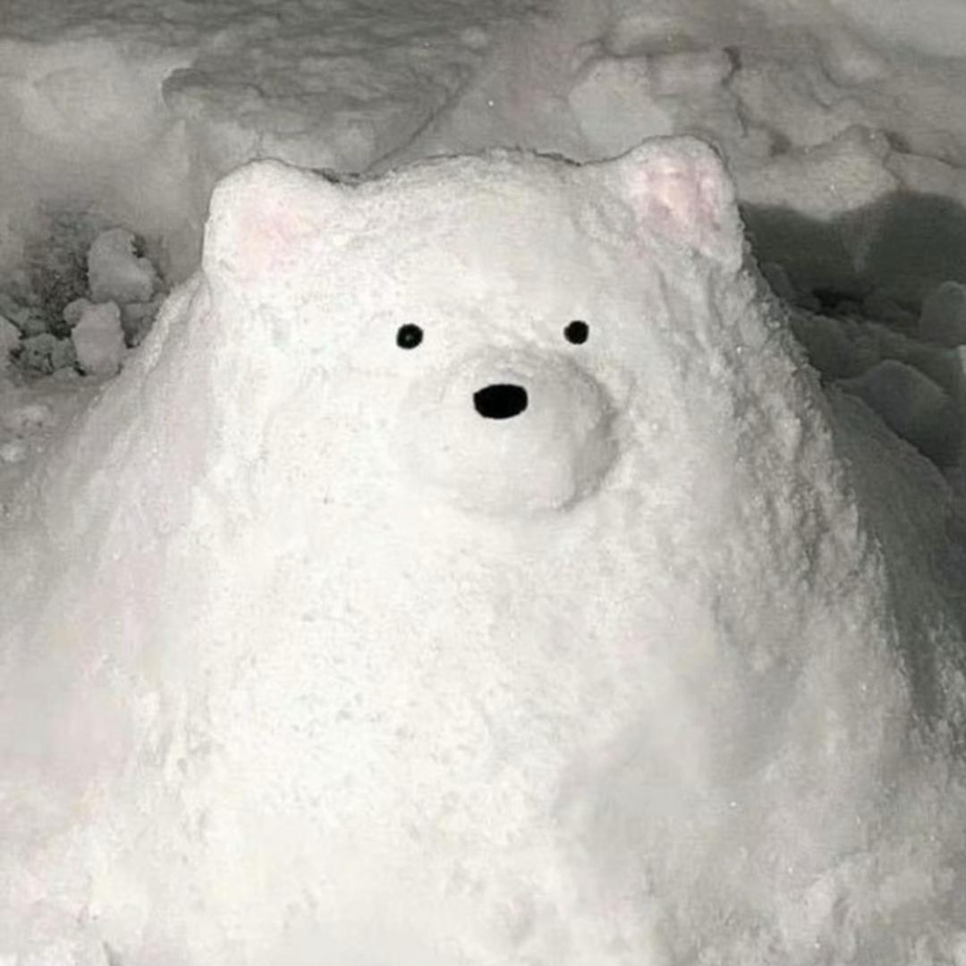 西兰花保护协会