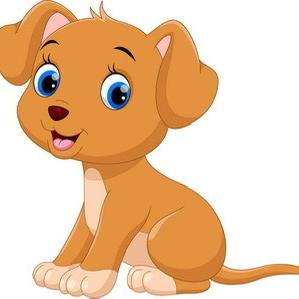 益御宝精品犬舍饲养