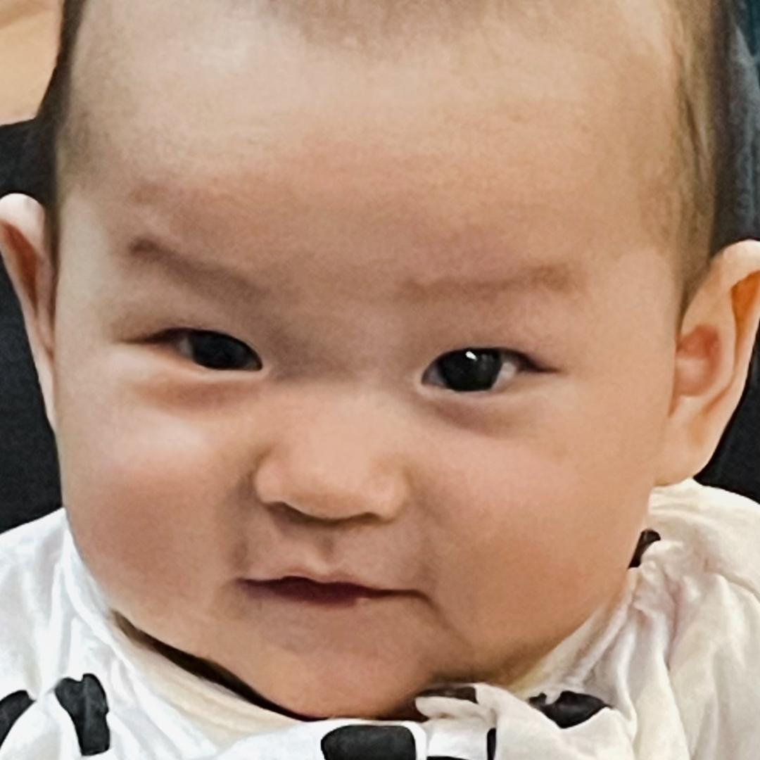 贫道在此