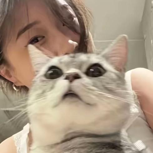 梧忆.