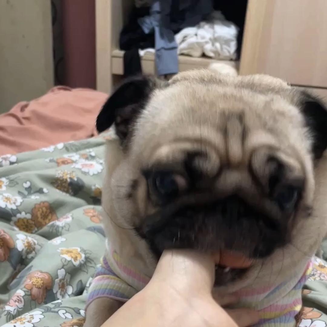 不高兴不