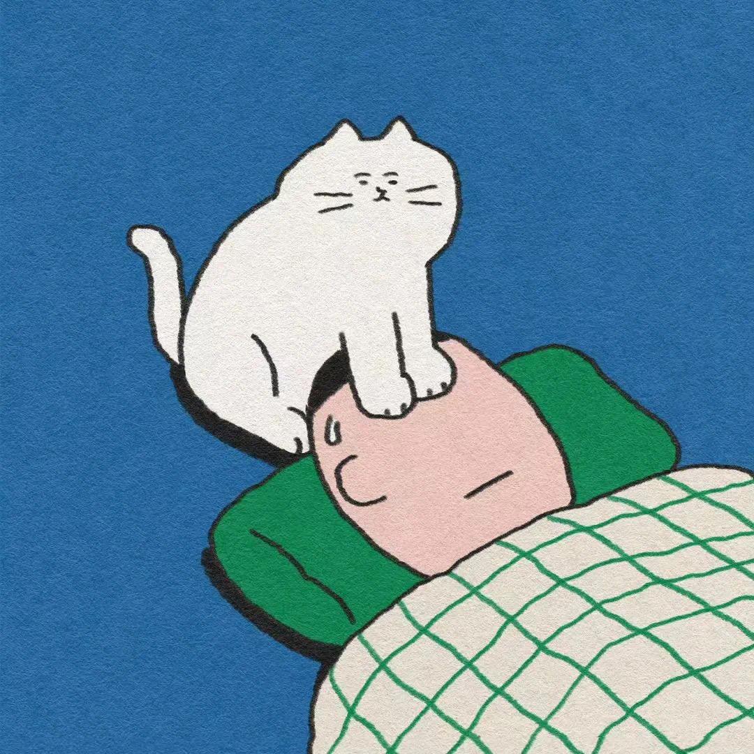 AAA皮革批发李生