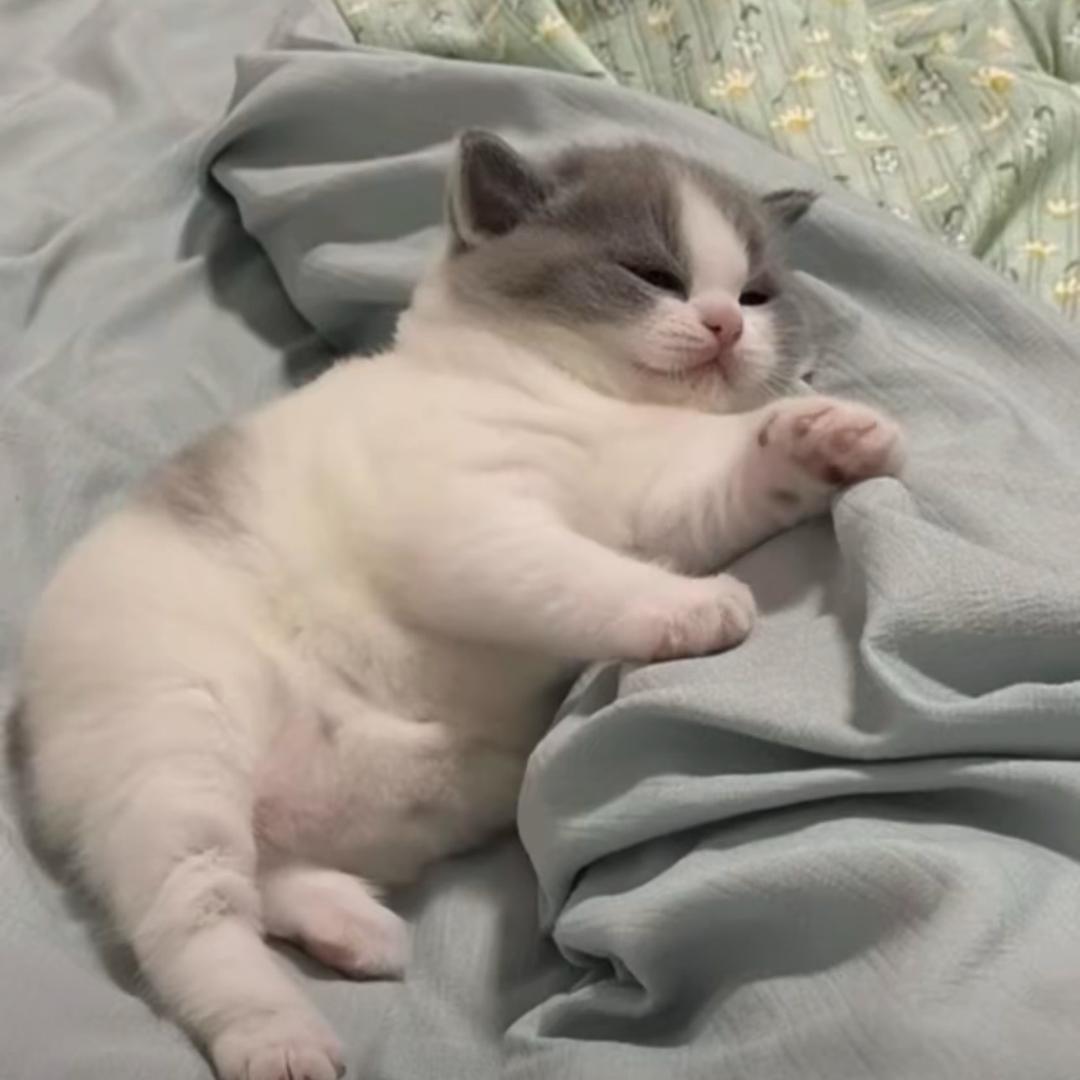 火龙果的摆摊日记