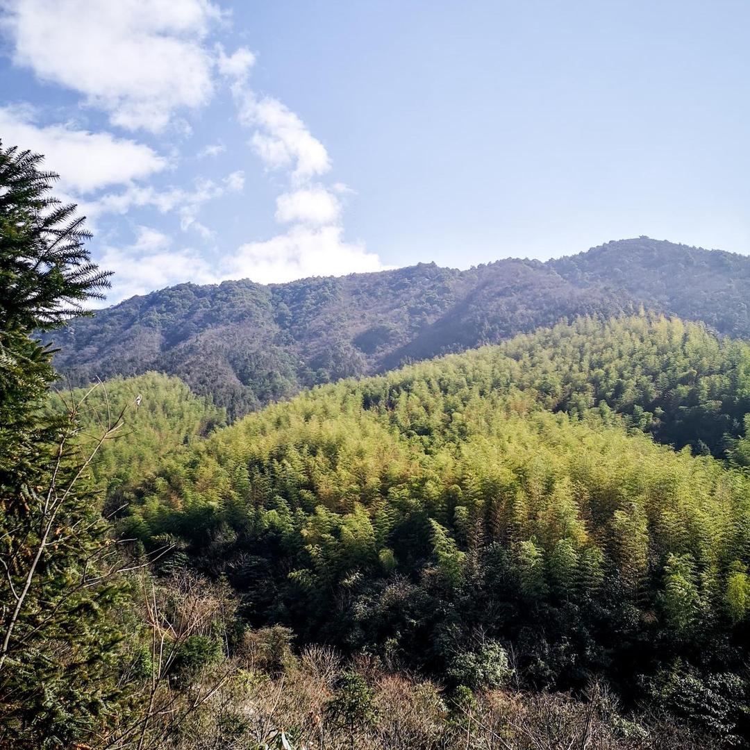 大山里的生活日记