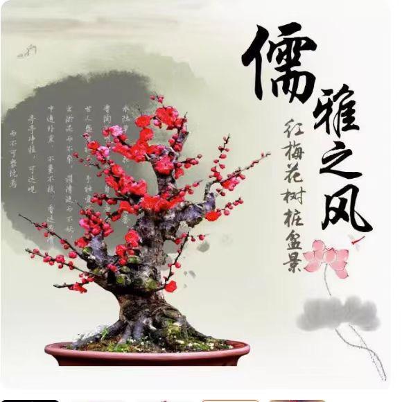 沃彩园林