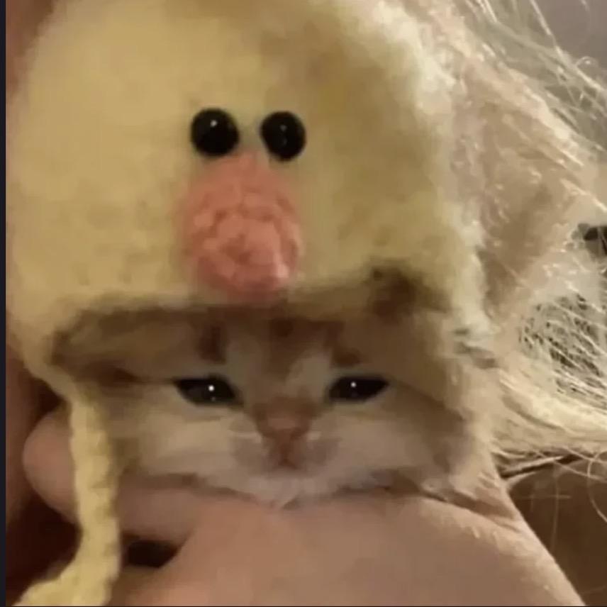 达达aa