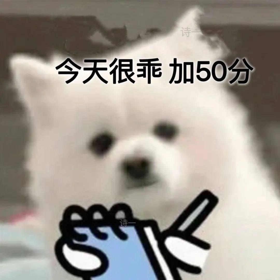 喜乐随顺