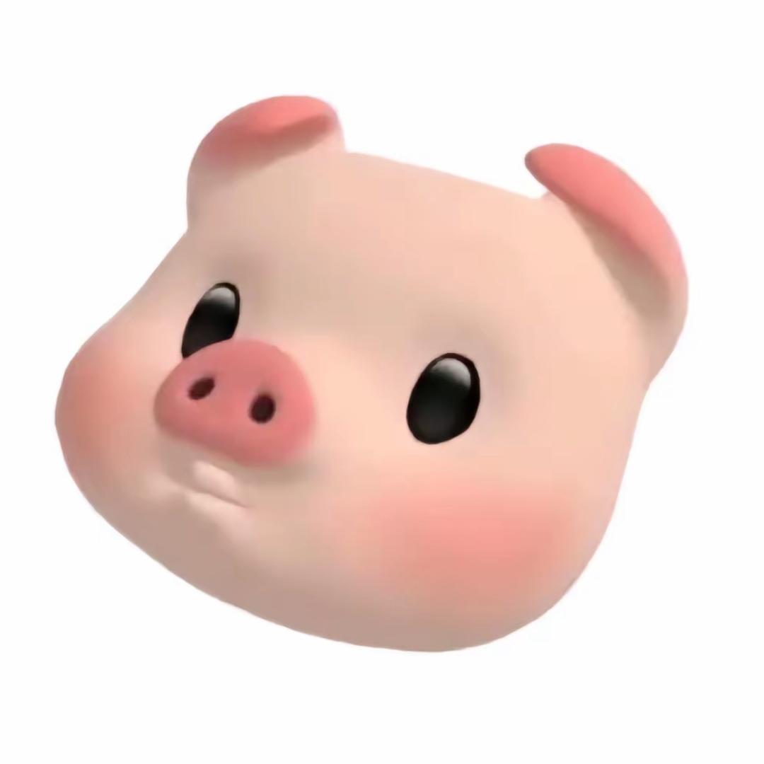 猪猪🐷