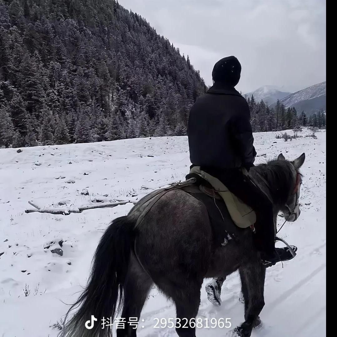 土豆炖洋芋