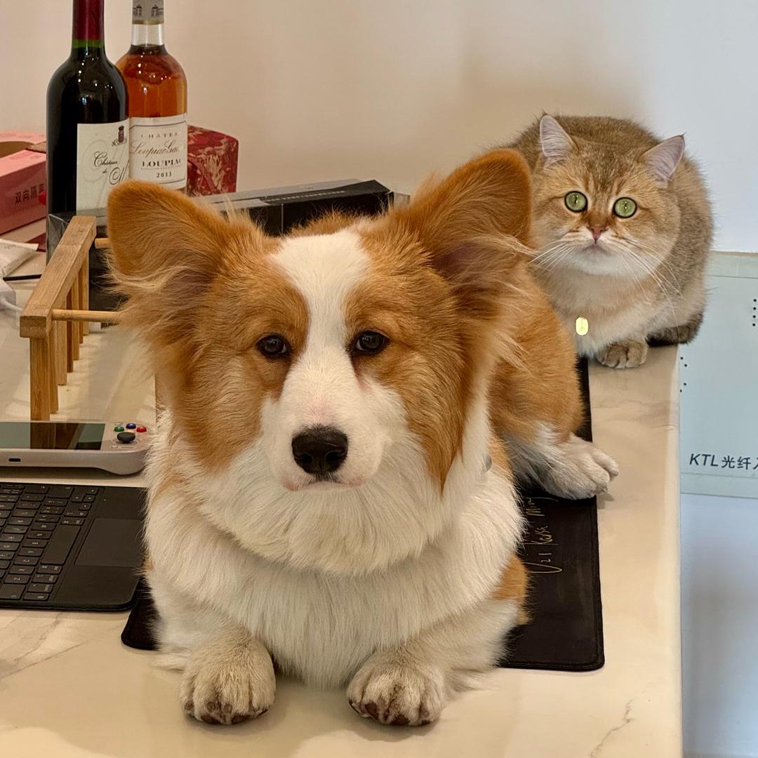 宇宙超级无敌大铁牛