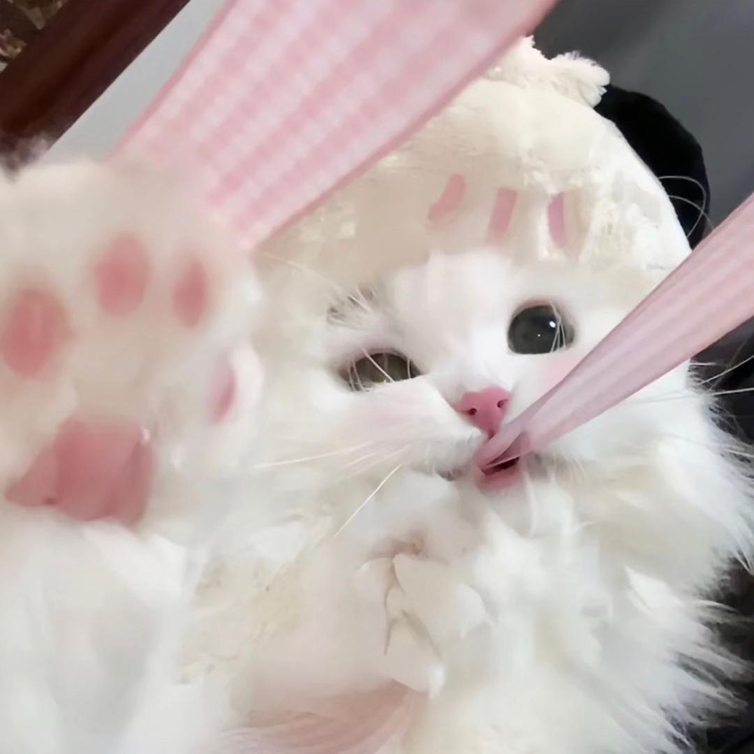 什么婷