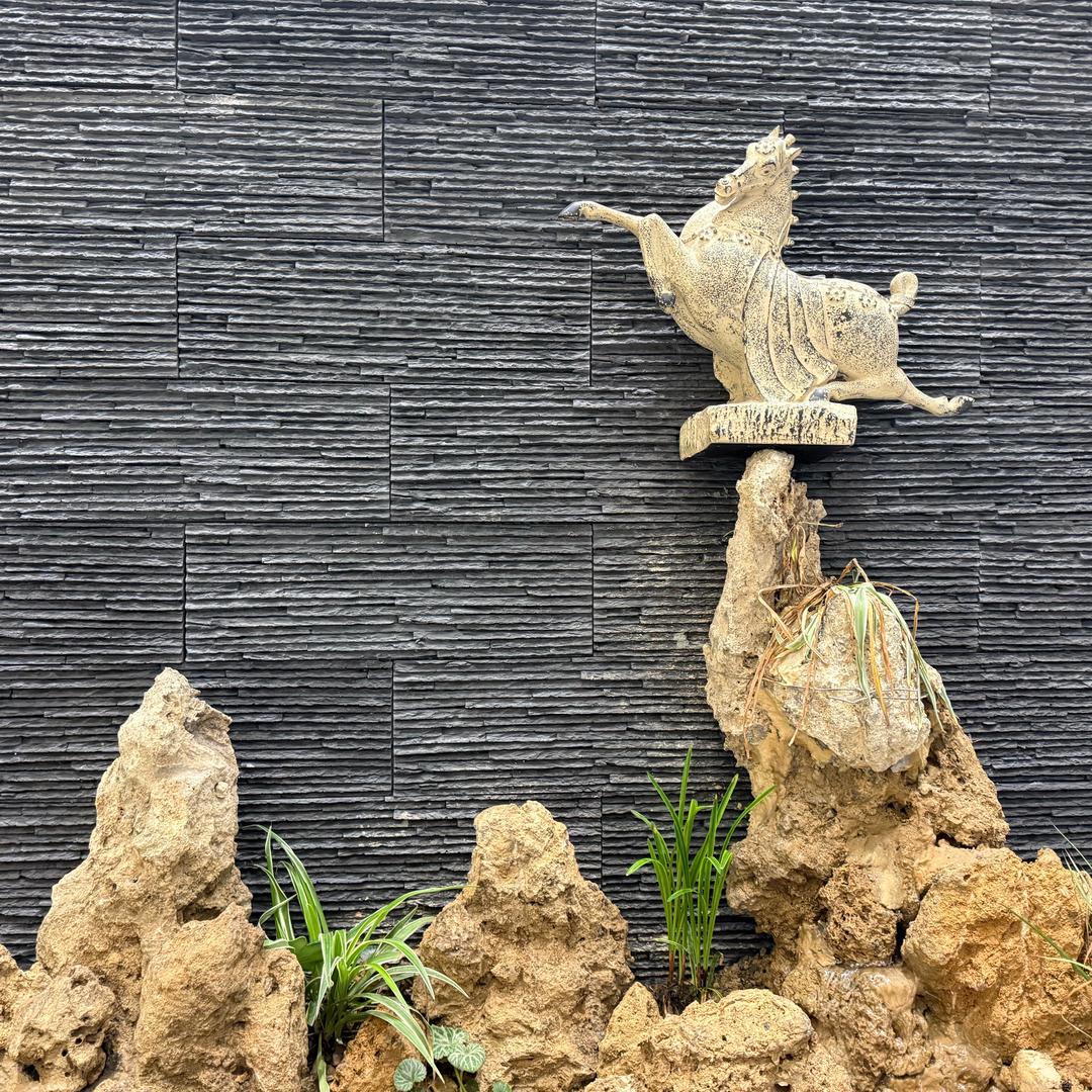 惊抓抓麻将研究院