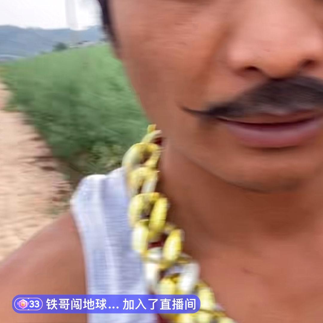 昆虫