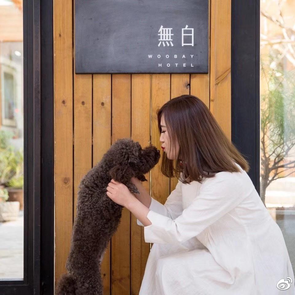 弹扬琴的韩老师