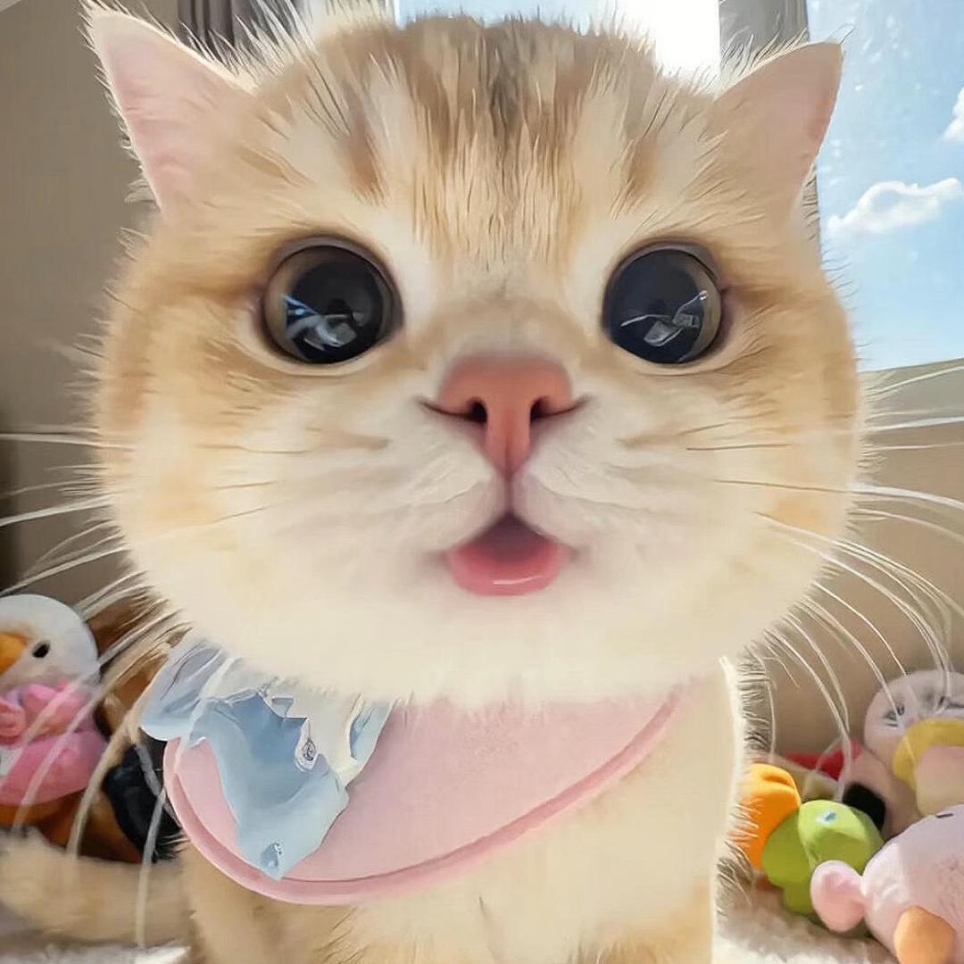 晚安.