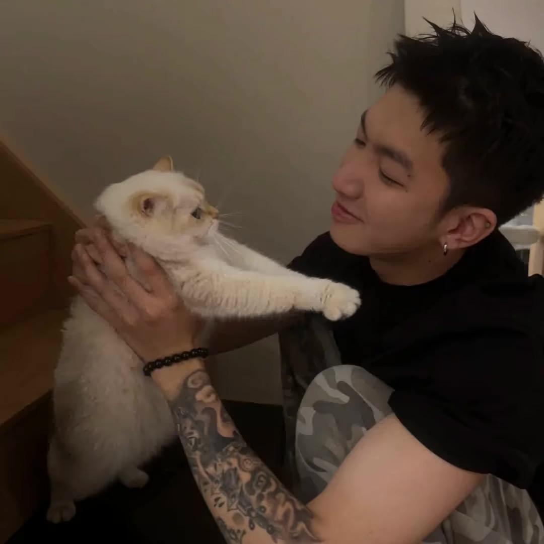 人生若只如初见