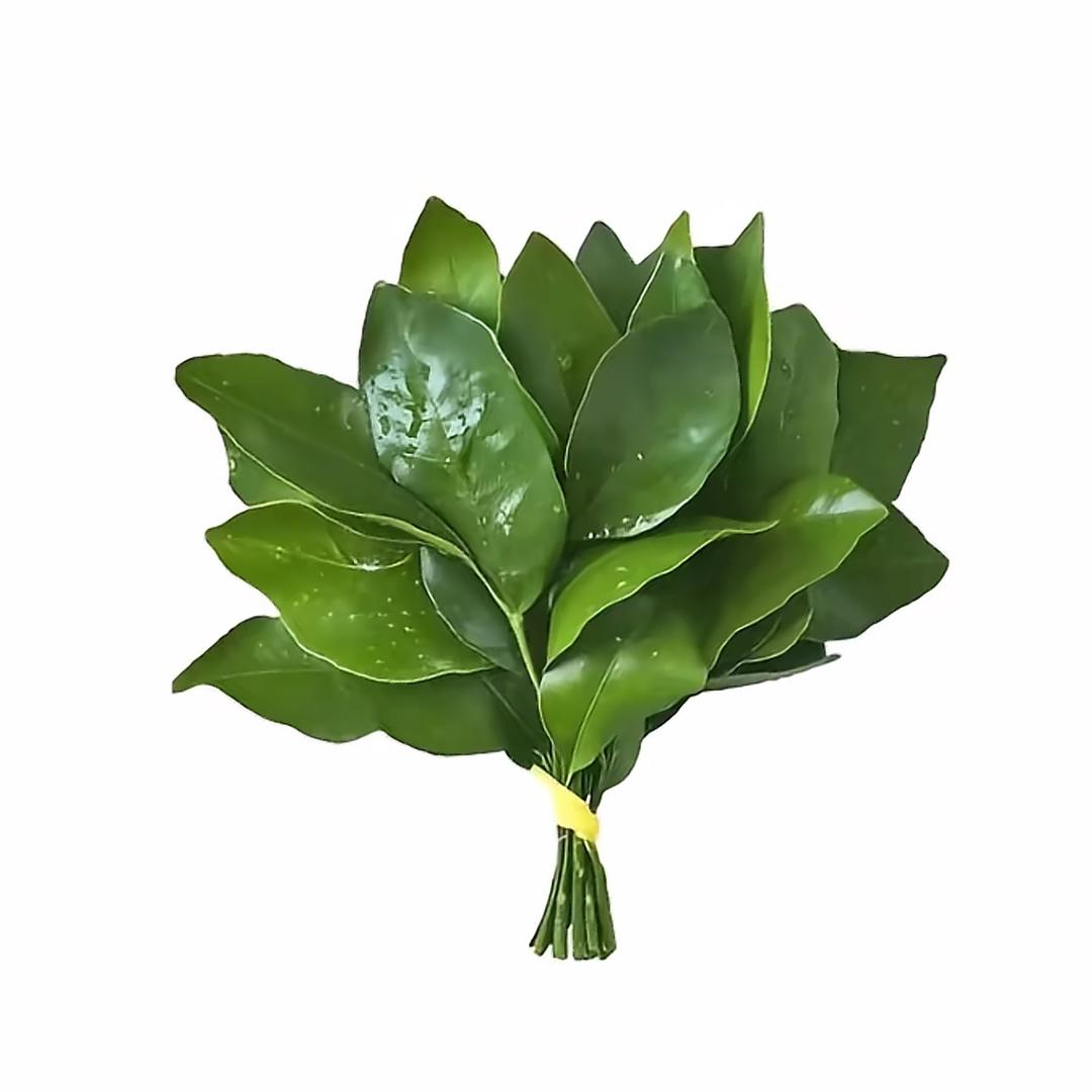 高端大气上档次的网名