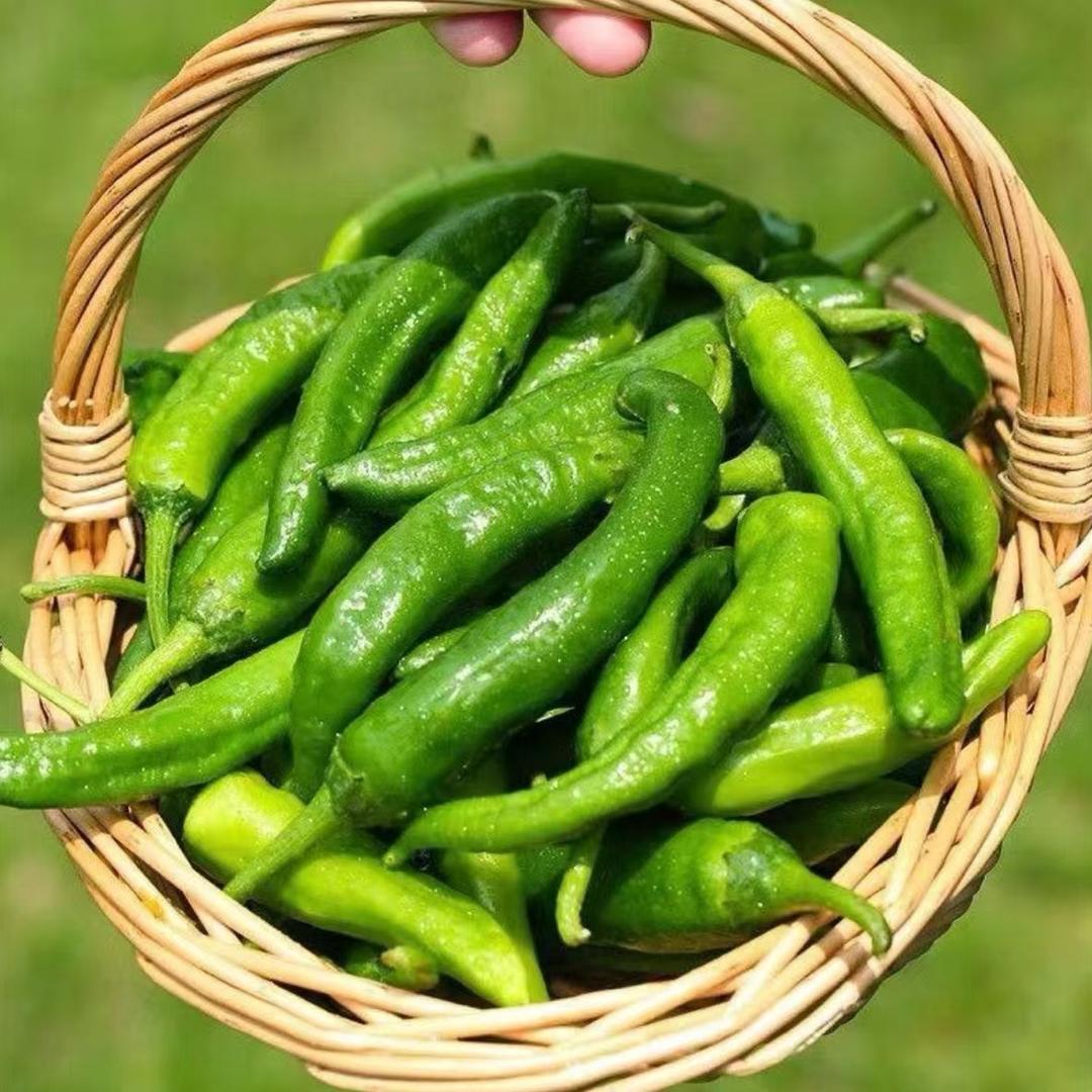 樟树港原种辣椒长沙店