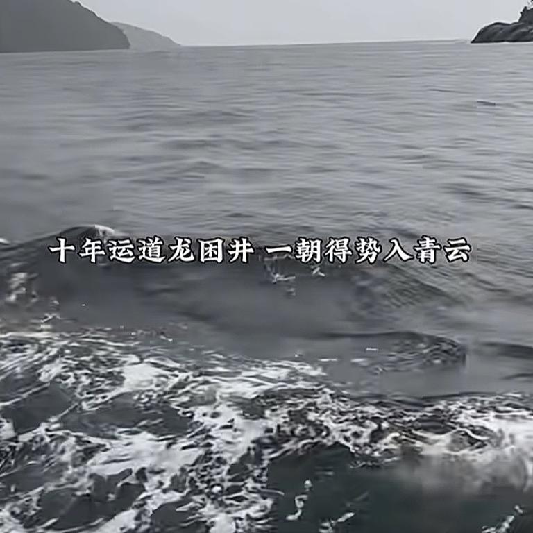 最后一个奸商