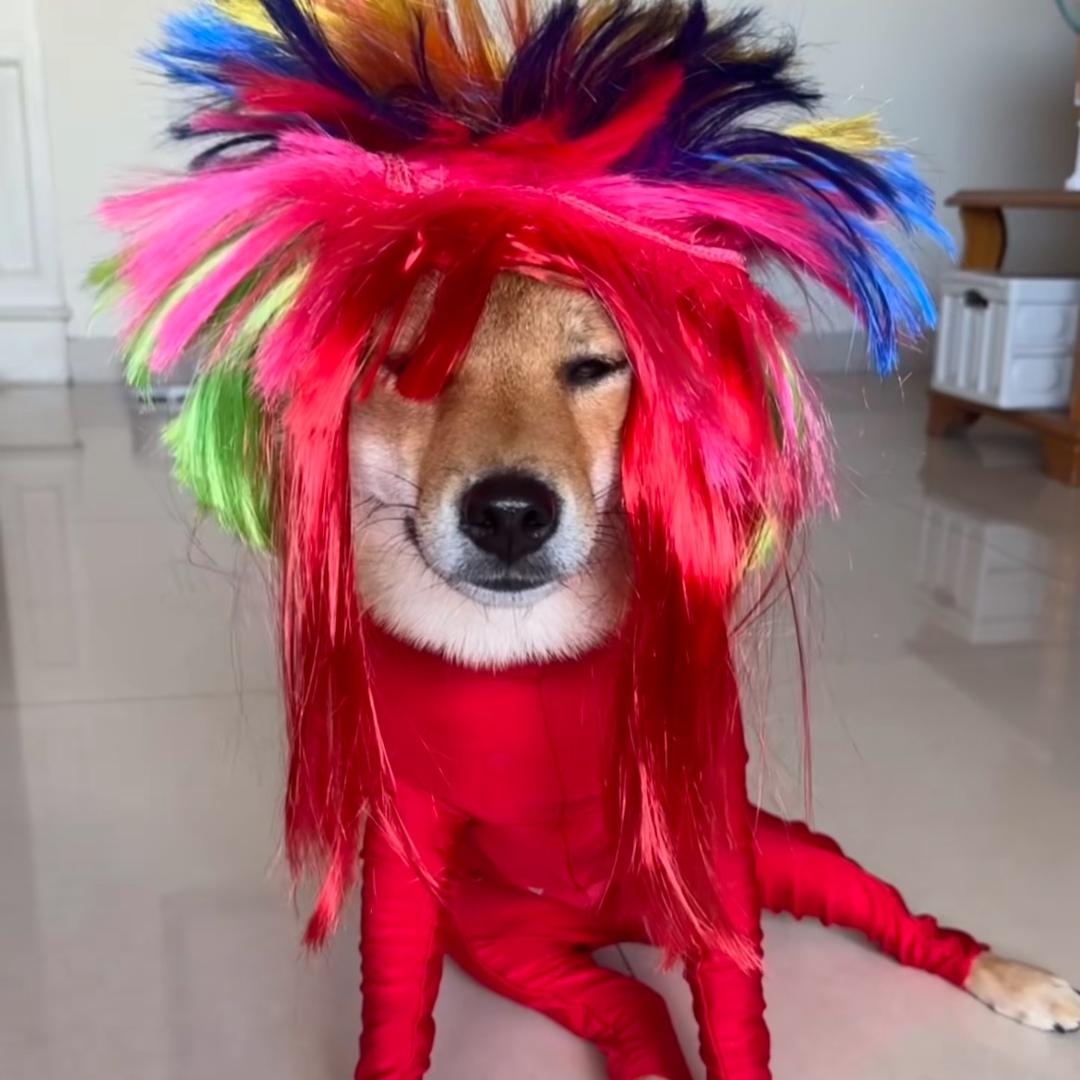 变身章鱼一巴掌抽八个人