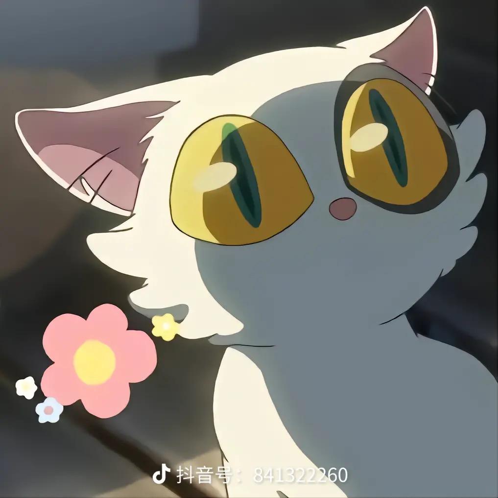 Loliqi