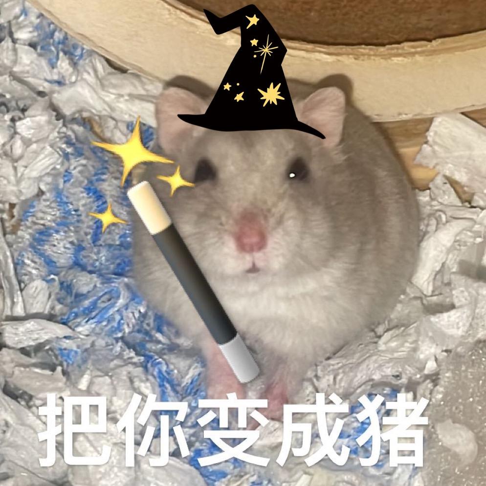 鼠鼠山大王