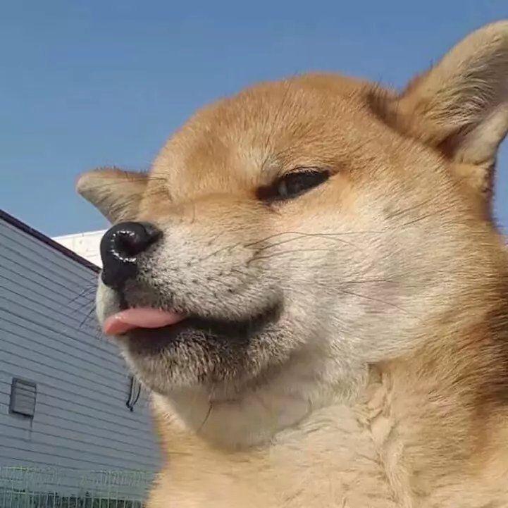 老王老王