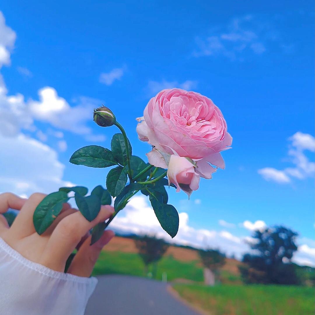 🎈🎈泡泡糖