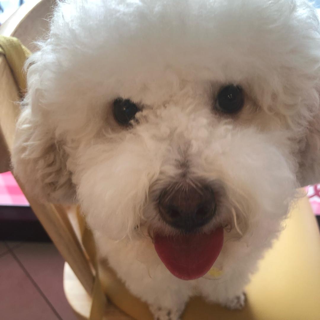 农村出来的黑蛋