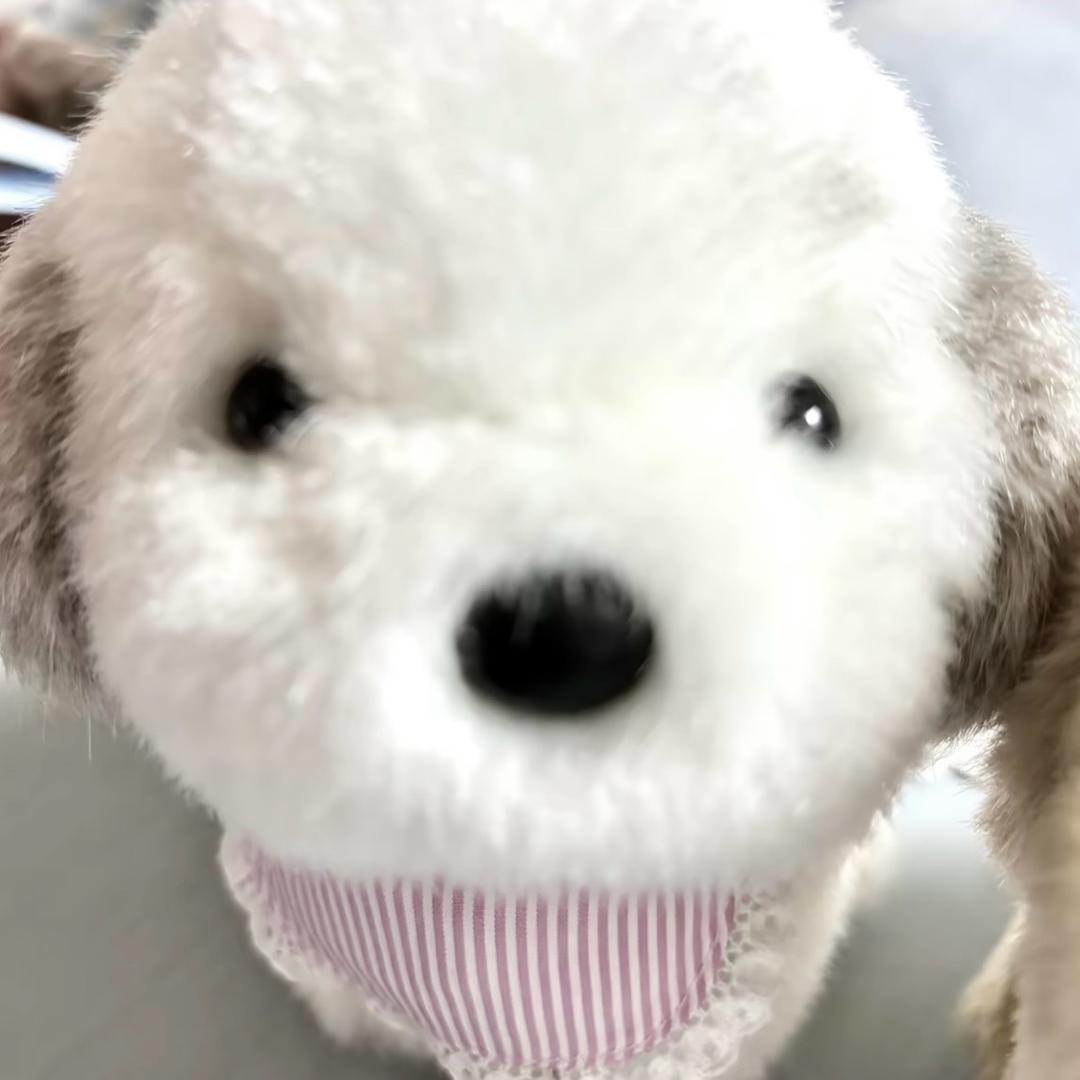 圆圆^v^