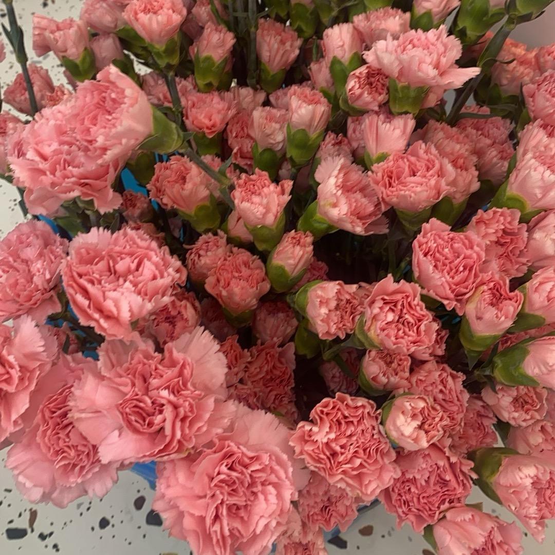 星辰艺术莎莎老师🎨