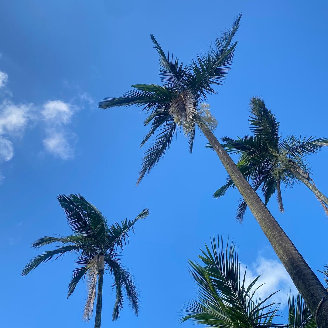 、素、雨、涵、萌八岁，酷九岁