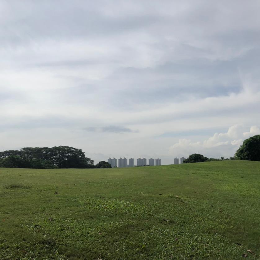有信大师