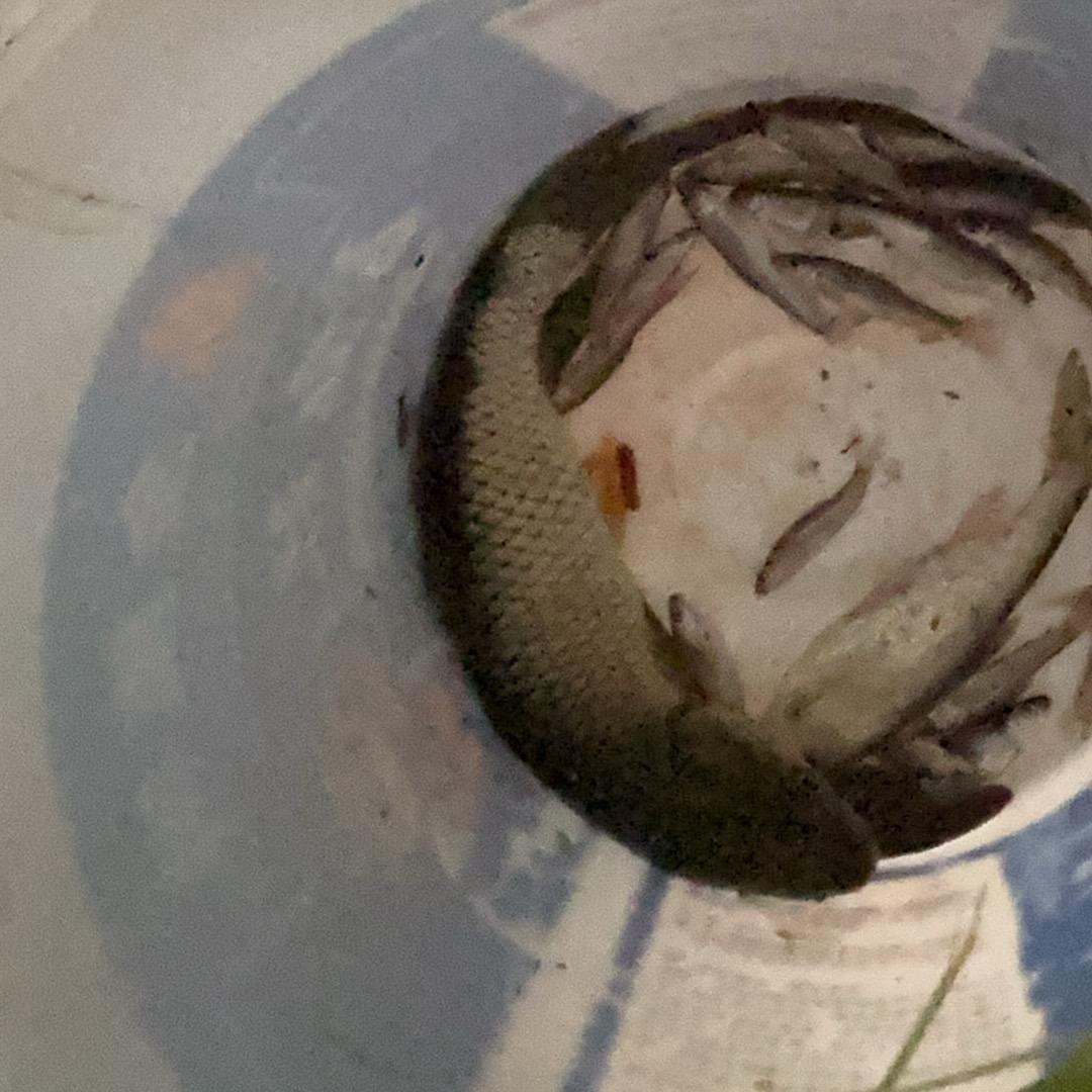 广昌英皇美缝