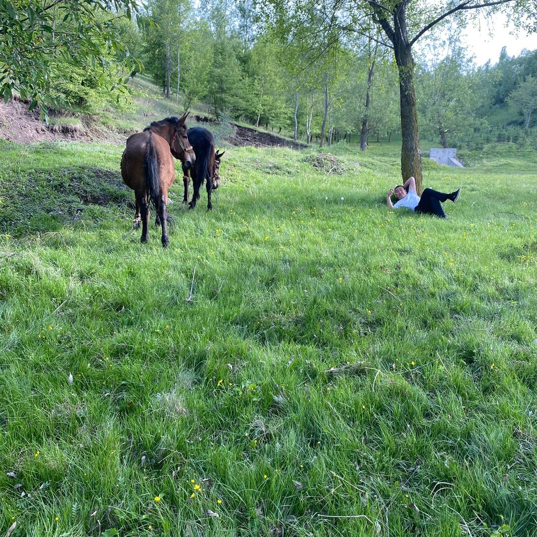 问题不大🤝🤝🤝