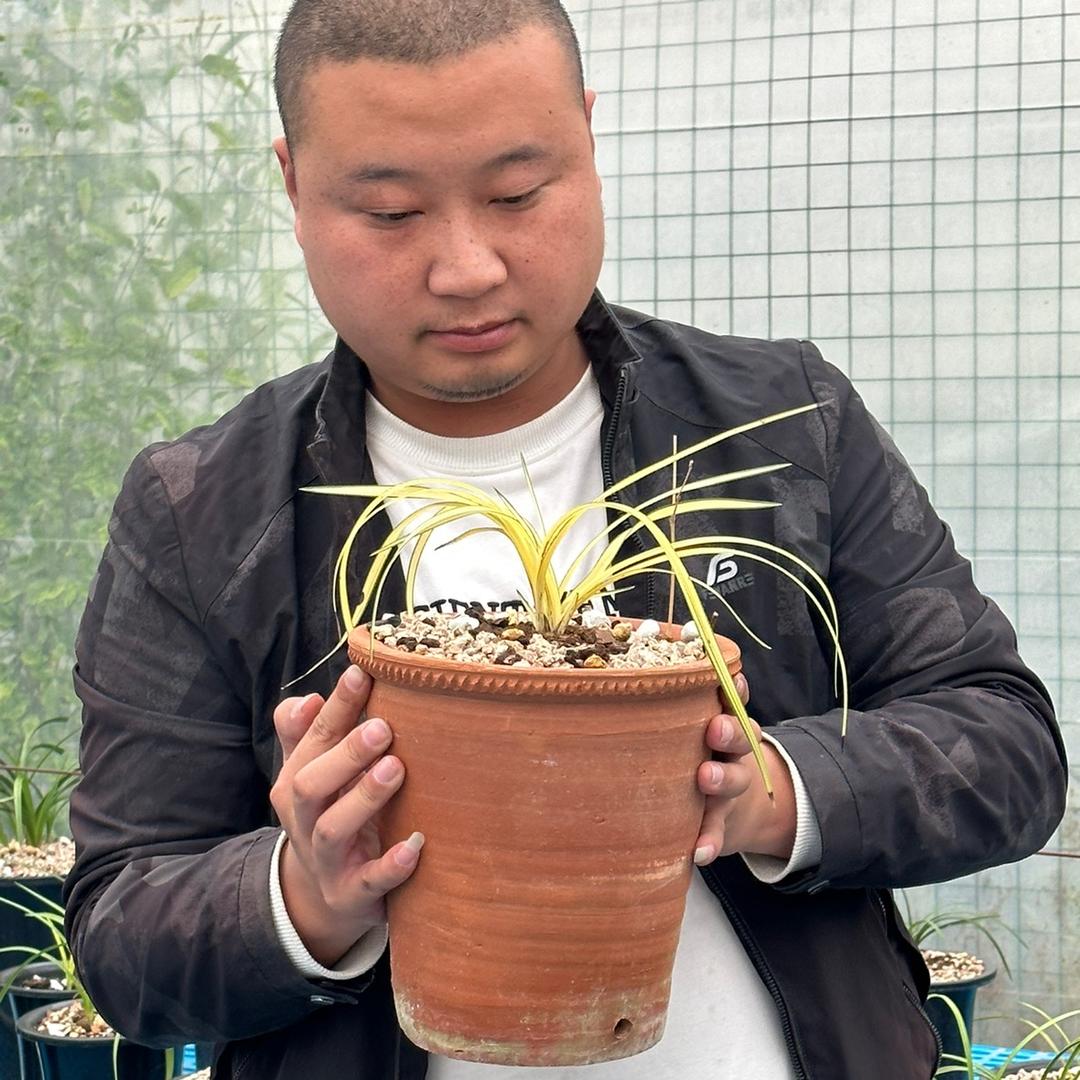 蕙涛兰苑