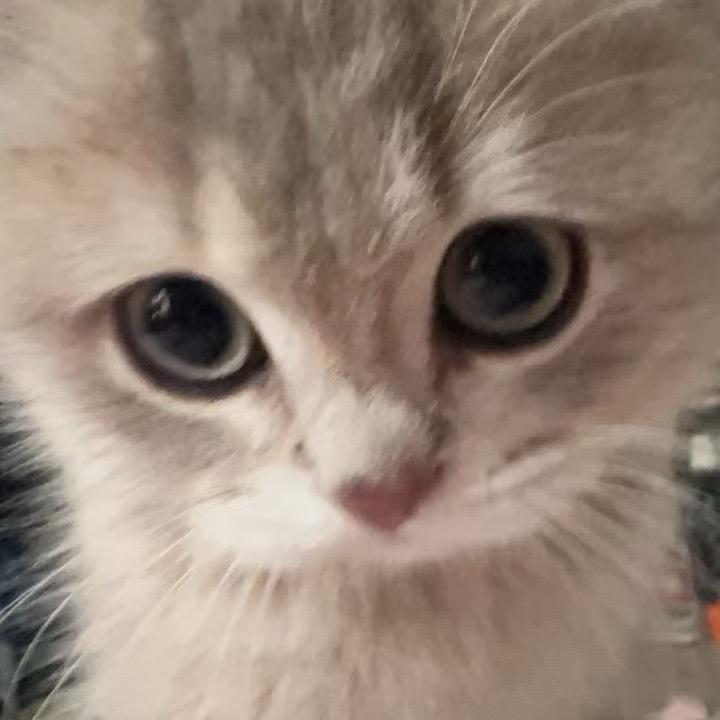 ^_^热心市民陈先生☁️