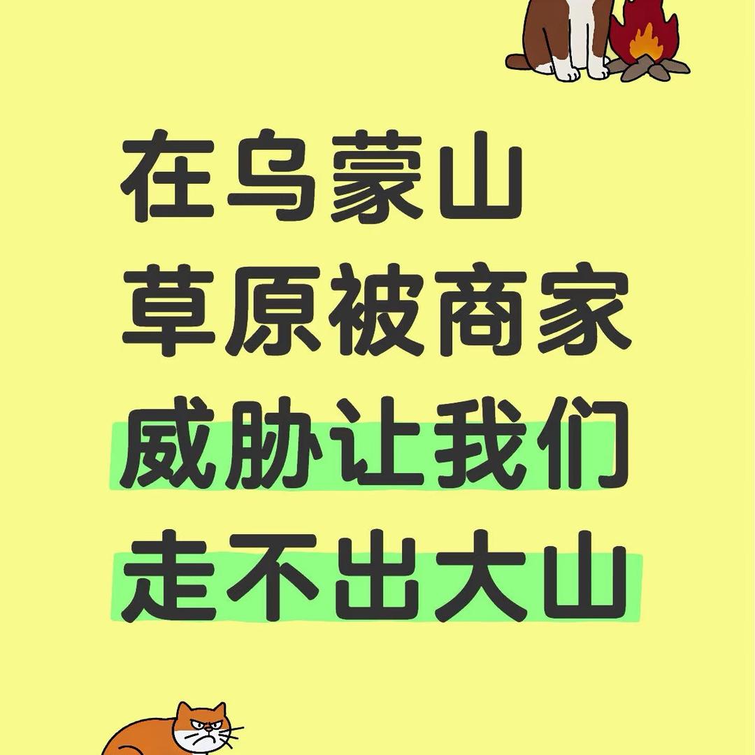 太平洋勤奋的蚂蚁