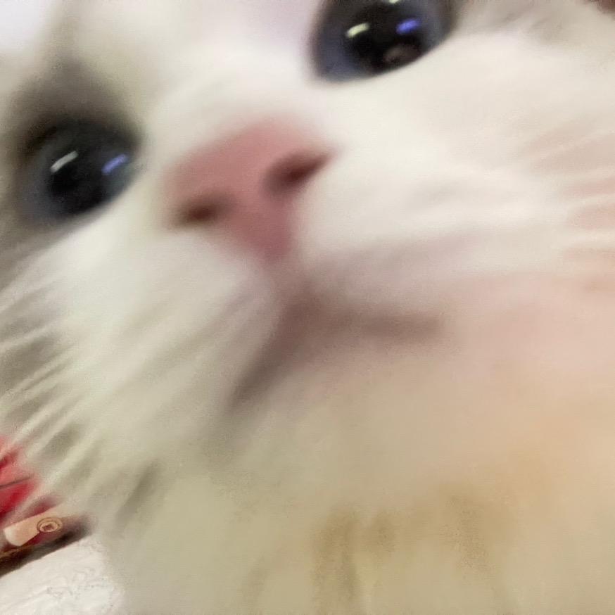 胖胖瘦了耶