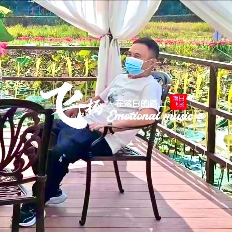 飞扬在落日的路上